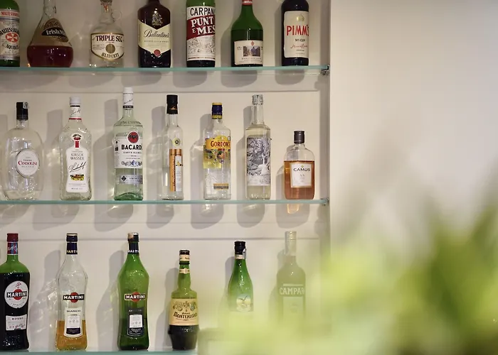 Отель Aurora 3*