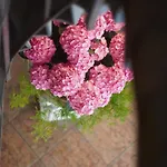 奥罗拉酒店
